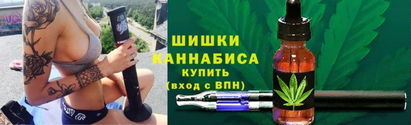 спиды Снежногорск
